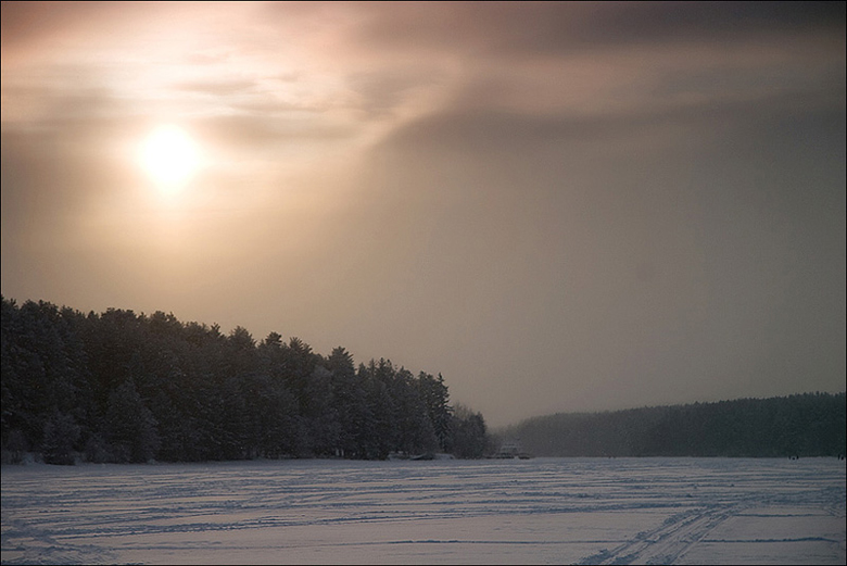 фотограф в конаково, свадебный фотограф в конаково, конаково, зимние пейзажи