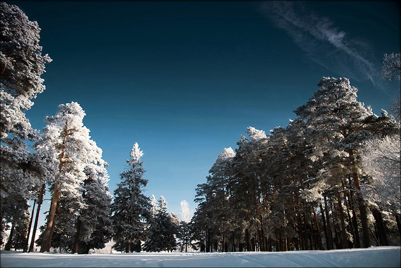 фотограф в конаково, свадебный фотограф в конаково, конаково, зимние пейзажи